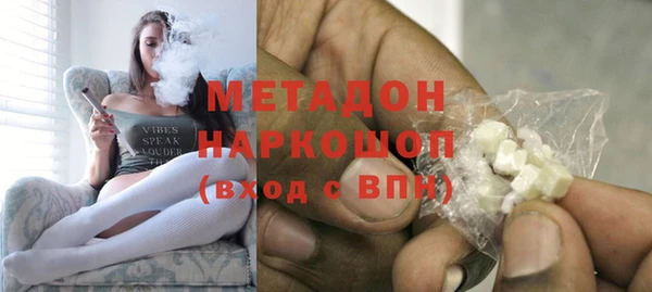 прущие грибы Абаза