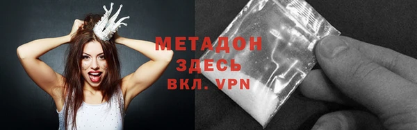 прущие грибы Абаза