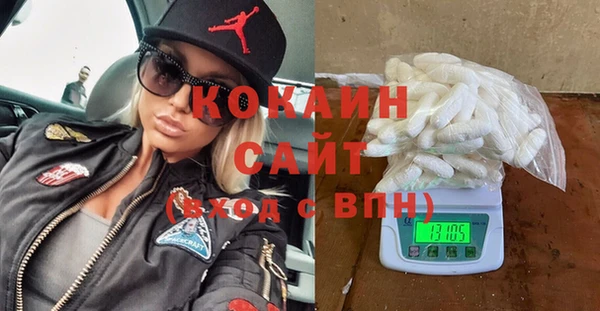 прущие грибы Абаза