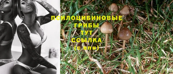 mdpv Алексеевка