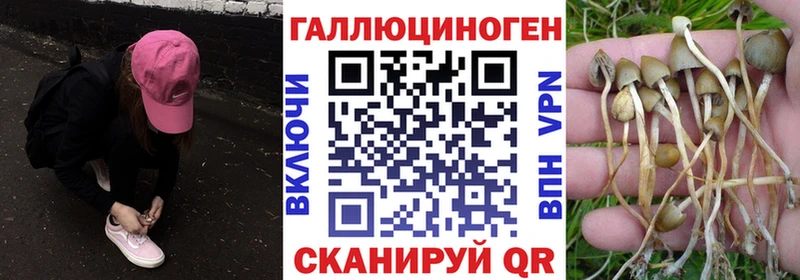Галлюциногенные грибы Magic Shrooms  Починок 