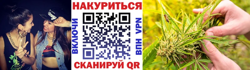 Каннабис OG Kush Починок